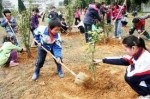 Ch tree planting